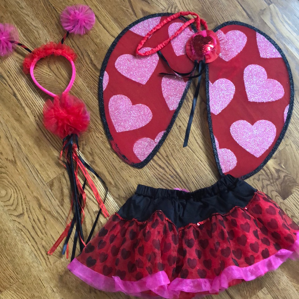Ladybug Costume